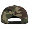 HD_BACK_SNFICM