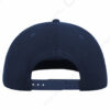 HD_BACK_SNFINV HD_BACK_SNFINV